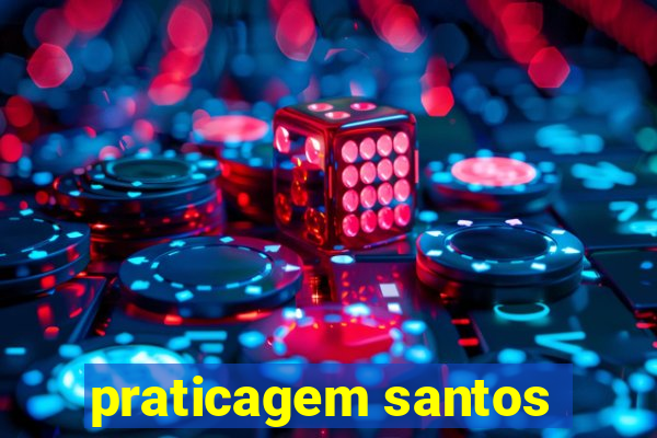 praticagem santos